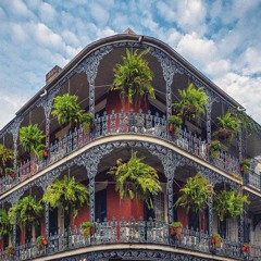 never been to louisiana