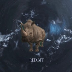 레드빗(Red.bit) - Buffalo