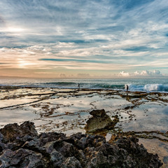 Beyond the Coral 5