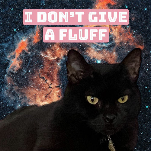 I Don't Give A Fluff