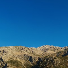 ة