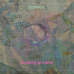 Stidaney - Analog awake