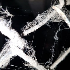 Dominik O. X Bloodwork1000 19.03.2022