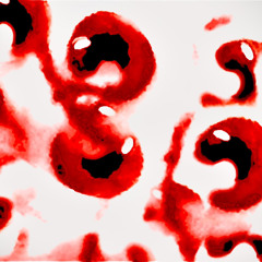 Trees Have Eyes Remastered