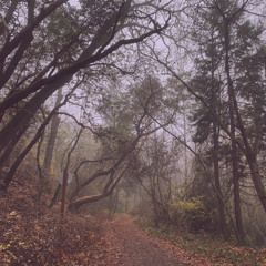 Little riff (acoustic version)