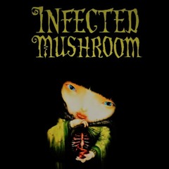Infected Mushroom - In Front Of Me - (Acoustic Cover)
