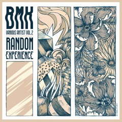 Preview VA/BMK Vol.2 : Random Experience