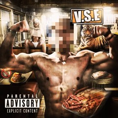 v.s.e