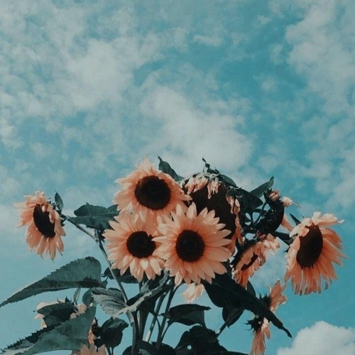 if you want someone to talk to