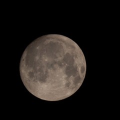 moonlight