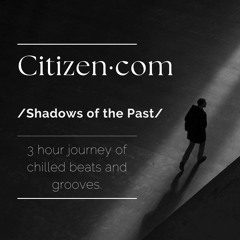 Shadows Of The Past - A chilled Beats Mix 2024