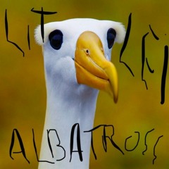 Albatross