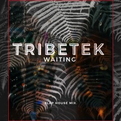 Tribetek - Waiting ( Version || )
