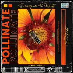 Pollinate (ft Rickmystersa & Venomen)