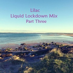 Liquid Lockdown Mix - Part Three
