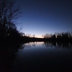 beyond the hill in the forest where vergil was standing