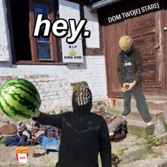 twardabagieta10 x pomaranczowykabelek3 - hey.