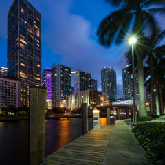 Midnight in Miami