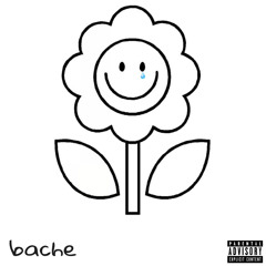 bache