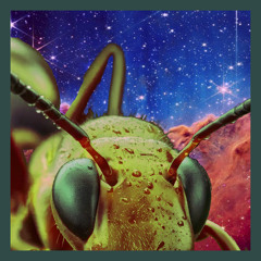 Alien Ant Death March