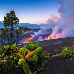Review Special Price Hawaii Volcanoes National Park And Hilo Highlights Small Group Tour