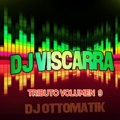 DJ VISCARRA - TRIBUTO VOL 9