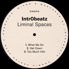 PREMIERE: Intr0beatz - What We Do [Cosmic Angles]