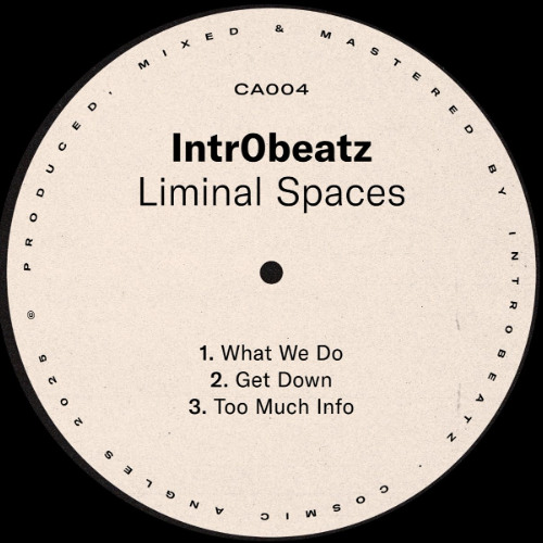 PREMIERE: Intr0beatz - What We Do [Cosmic Angles]