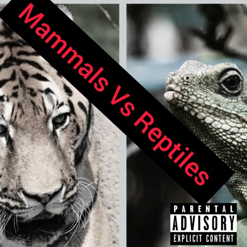 Evulholic - Mammals Vs Reptiles (Prod. 2xcond )(Mixed N Mastered By Evulholic )