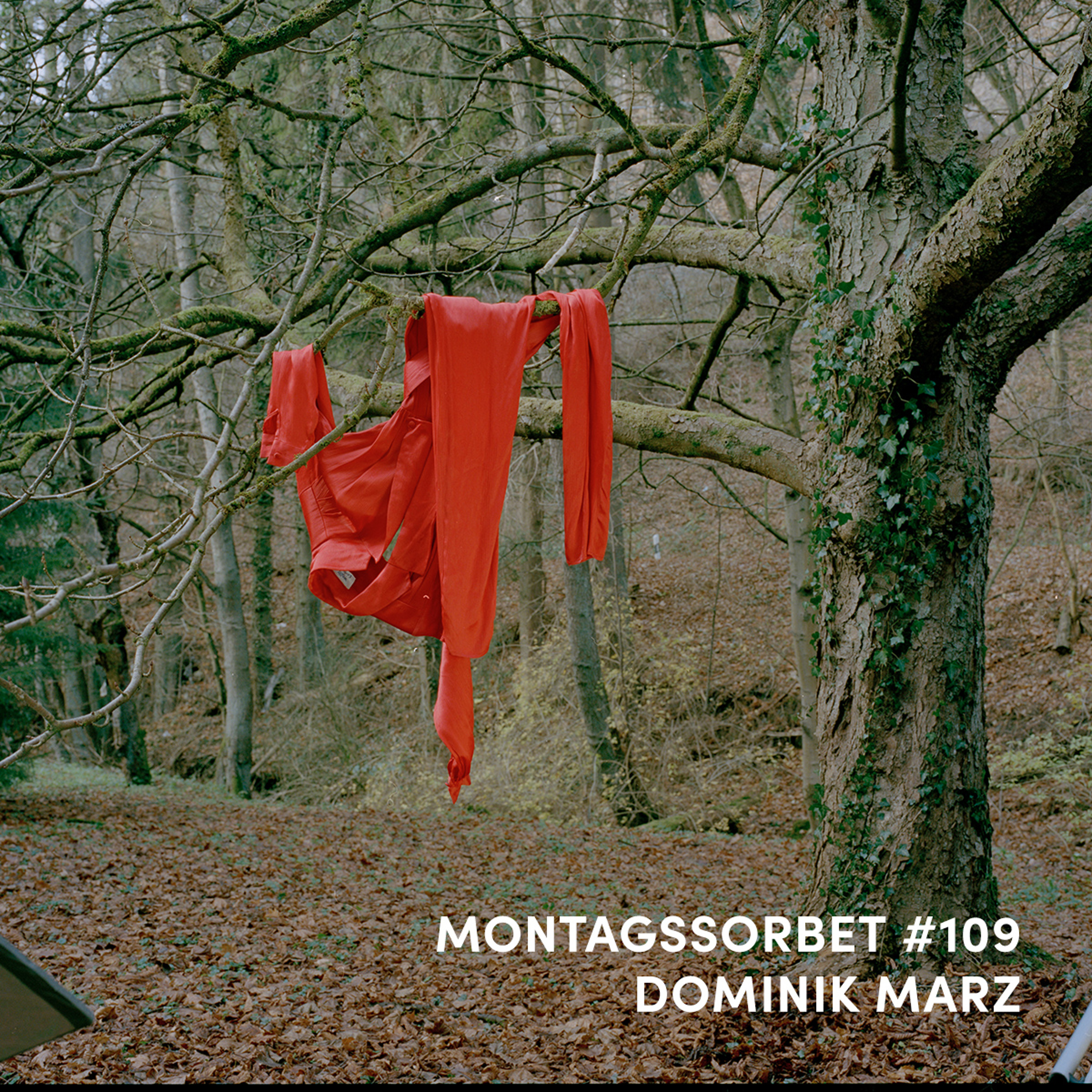 Montagssorbet mit Laut & Luise