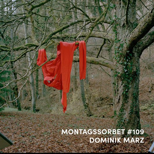 #109: Dominik Marz - Montagssorbet mit Laut & Luise