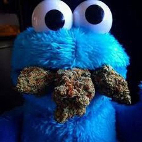 COOKIE MONSTER