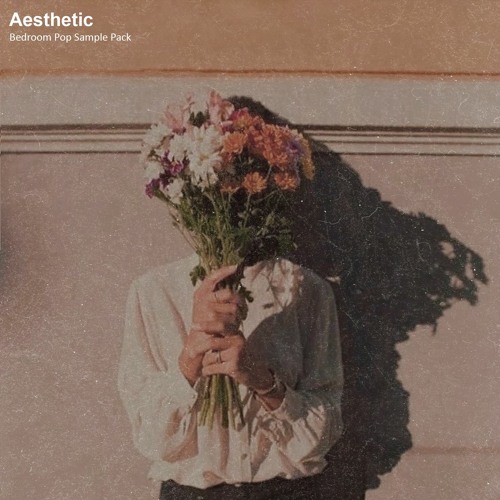 Aesthetic (Bedroom Pop Sample Pack)