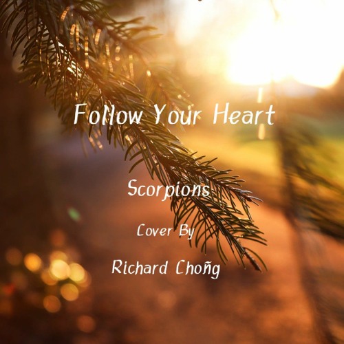 Stream Follow Your Heart-Scorpions cover by Richard Choñg.mp3 by Richard  Choñg | Listen online for free on SoundCloud