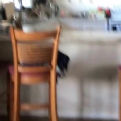 Kitchen's Atrocious