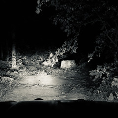3. Night