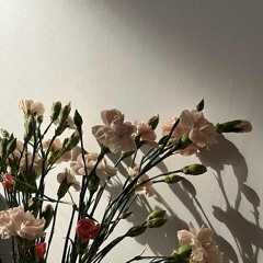 SLACK JAW - SYLVAN ESSO