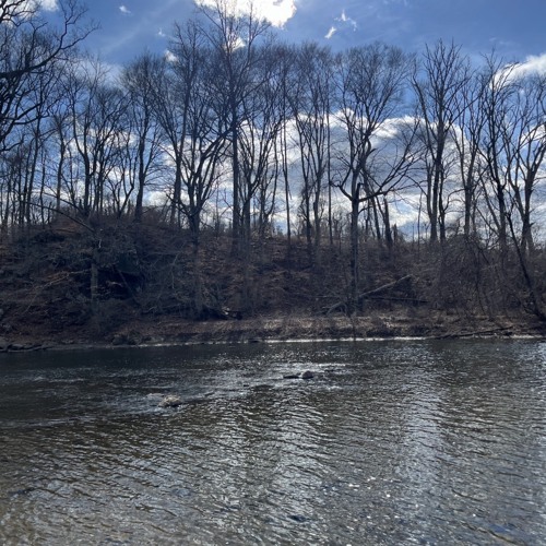 Walk in the Park - Beach House