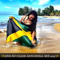 JAVA NU-CLEAR MIX 2025