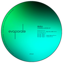 PREMIERE: Gudj - Midnight Signals (Venda Remix) [ZFD023]