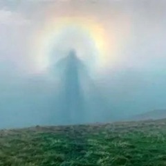 Your Halo is Falling