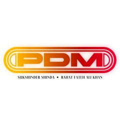 Pyaar Da Mausum (Ambient Jungle Rework) | Ghum Shum - Rahat Fateh Ali Khan and Sukshinder Shinda