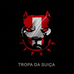 MC DG DO BROOKLIN -PIT DO COMANDO [DJ ML DA SUIÇA]