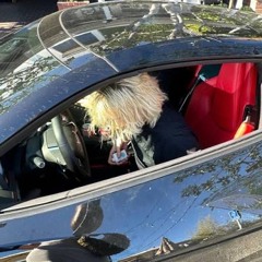 D&G Coat - Nettspend (prod. fakexotics, ​Kyuro & crxsh)