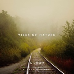 Vibes Of Nature