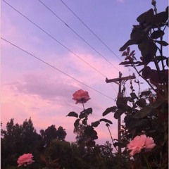 عمر خيرت-خلى بالك من عقلك