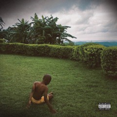 FALLS DOWN