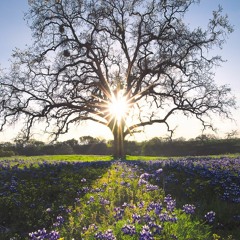 When The Earth Stood Still (Summer Mix)