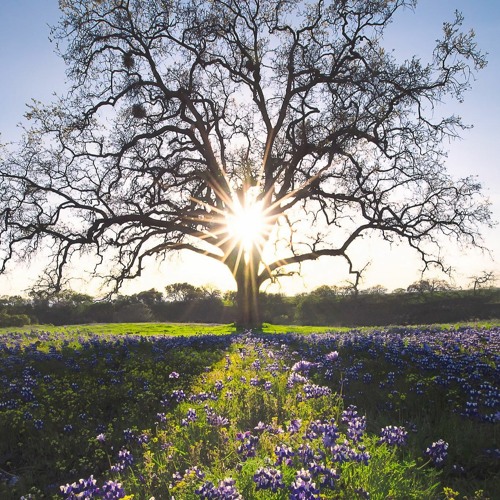 When The Earth Stood Still (Summer Mix)