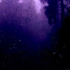 RainyJerseyClub[Autumn]Amigurumi.m4a